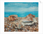 Three Shells by Cristiana Angelini