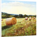 Eynsford Valley by Cristiana Angelini