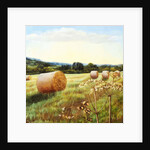 Eynsford Valley by Cristiana Angelini