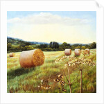 Eynsford Valley by Cristiana Angelini