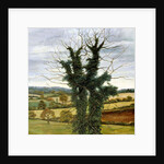 Winter Sky by Cristiana Angelini