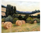 Eynsford Valley by Cristiana Angelini
