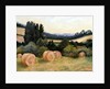 Eynsford Valley by Cristiana Angelini