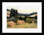 Eynsford Valley by Cristiana Angelini