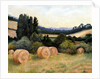 Eynsford Valley by Cristiana Angelini