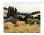 Eynsford Valley by Cristiana Angelini