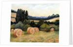 Eynsford Valley by Cristiana Angelini