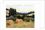 Eynsford Valley by Cristiana Angelini