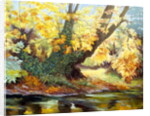 Autumn on the Darenth by Cristiana Angelini