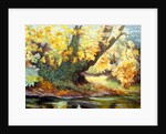 Autumn on the Darenth by Cristiana Angelini