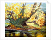 Autumn on the Darenth by Cristiana Angelini