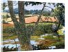 Summer amongst the reeds by Cristiana Angelini