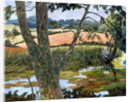 Summer amongst the reeds by Cristiana Angelini