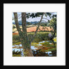 Summer amongst the reeds by Cristiana Angelini