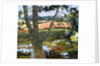 Summer amongst the reeds by Cristiana Angelini