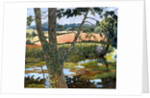 Summer amongst the reeds by Cristiana Angelini