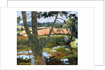 Summer amongst the reeds by Cristiana Angelini