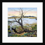 The River Colne by Cristiana Angelini