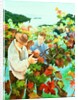 Grape Pickers, 1996 by Cristiana Angelini