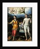 St.Sebastian and St.Cecilia by Lavinia Fontana
