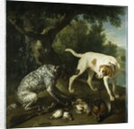 Two pointers belonging to the 3rd Earl of Burlington with dead game in a landscape, 1713 by Alexandre-Francois Desportes