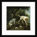 Two pointers belonging to the 3rd Earl of Burlington with dead game in a landscape, 1713 by Alexandre-Francois Desportes