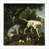Two pointers belonging to the 3rd Earl of Burlington with dead game in a landscape, 1713 by Alexandre-Francois Desportes
