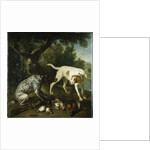 Two pointers belonging to the 3rd Earl of Burlington with dead game in a landscape, 1713 by Alexandre-Francois Desportes