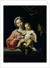 The Madonna della Rosa, before 1627 by Domenichino