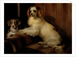 Bony and Var, c.1843 by Edwin Landseer