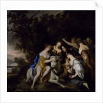 The Rape of Europa by Peter Lely