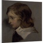 Head of a young boy by Peter Lely