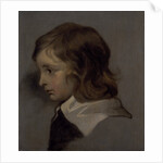 Head of a young boy by Peter Lely