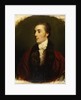 James Hare, M.P. by Joshua Reynolds