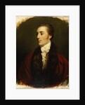 James Hare, M.P. by Joshua Reynolds