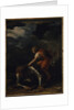 David and Goliath by Salvator Rosa