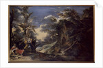 Jacob's Dream by Salvator Rosa