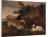 Landscape with spaniel and terrier, 1846 by William Pascoe