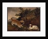 Landscape with spaniel and terrier, 1846 by William Pascoe