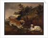 Landscape with spaniel and terrier, 1846 by William Pascoe