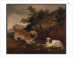 Landscape with spaniel and terrier, 1846 by William Pascoe