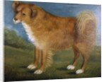 Brown Dog in a Landscape, c.1850 by Unknown Artist