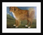 Brown Dog in a Landscape, c.1850 by Unknown Artist