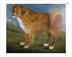 Brown Dog in a Landscape, c.1850 by Unknown Artist