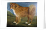 Brown Dog in a Landscape, c.1850 by Unknown Artist