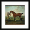Flying Childers with a groom on Newmarket Heath, c.1722-25 by James Seymour