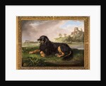 Portrait of 'Tawney', the 6th Duke's spaniel, with the Palatine beyond, 1819 by Johan Wenzel Peter