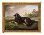 Portrait of 'Tawney', the 6th Duke's spaniel, with the Palatine beyond, 1819 by Johan Wenzel Peter