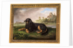 Portrait of 'Tawney', the 6th Duke's spaniel, with the Palatine beyond, 1819 by Johan Wenzel Peter