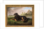 Portrait of 'Tawney', the 6th Duke's spaniel, with the Palatine beyond, 1819 by Johan Wenzel Peter
